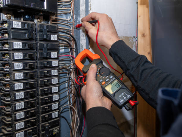 Best Electric Panel Repair  in Walker, LA